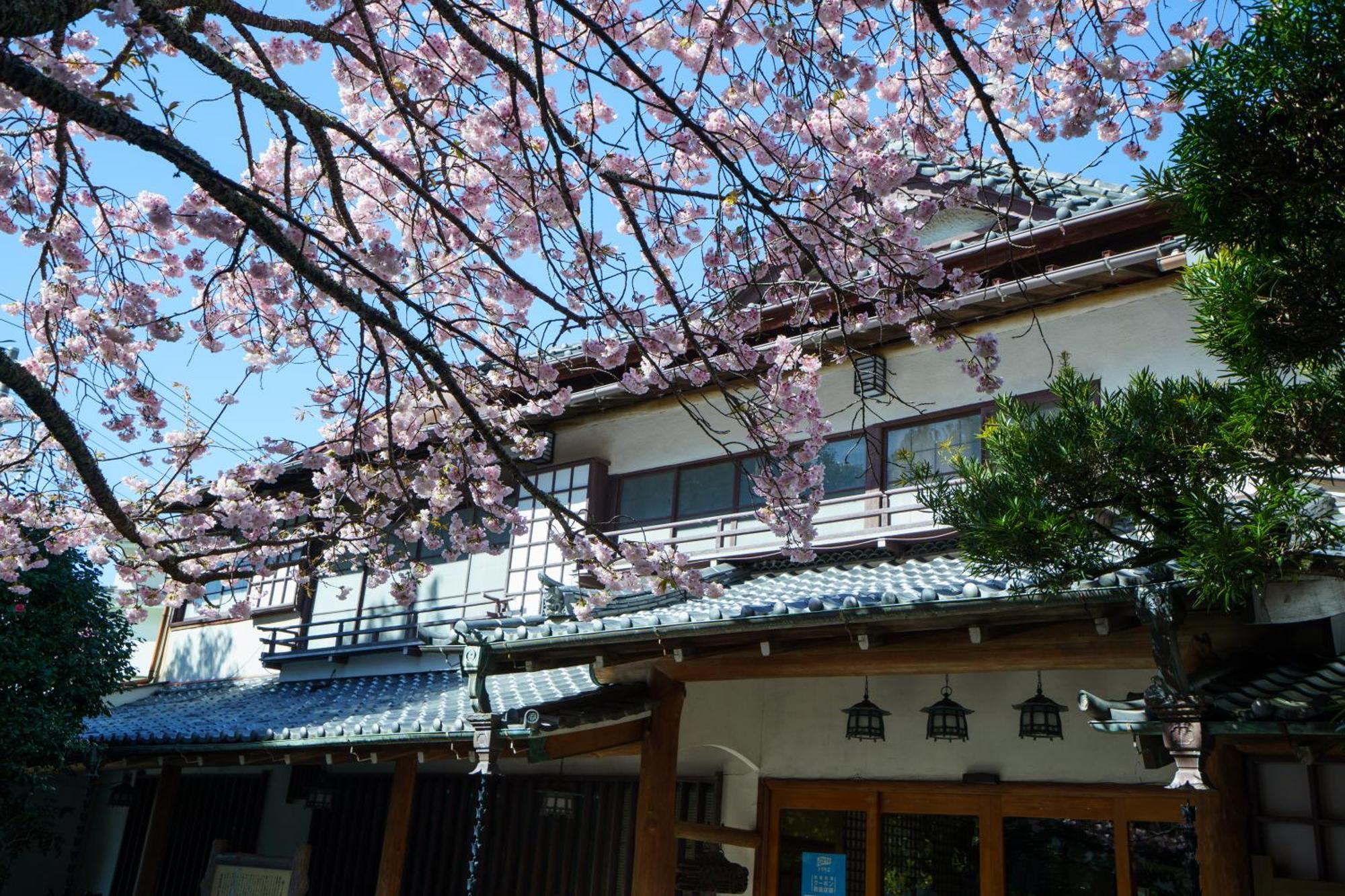 Sakahijiri Gyokushoen Izu  Luaran gambar